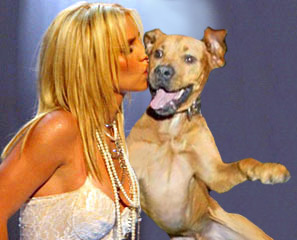 britney-and-w00t.jpg