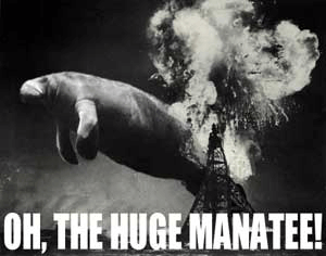 Oh the Huge Manatee